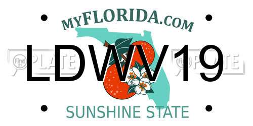 LDWV19 Florida License Plate