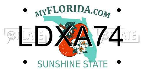 LDXA74 Florida License Plate