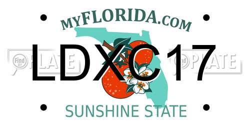 LDXC17 Florida License Plate