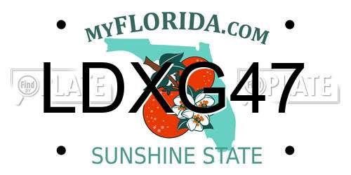 LDXG47 Florida License Plate