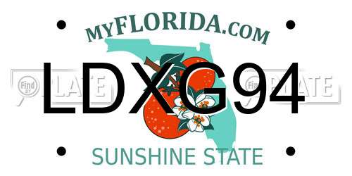 LDXG94 Florida License Plate