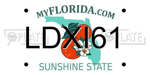 LDXI61 Florida License Plate