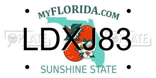 LDXJ83 Florida License Plate