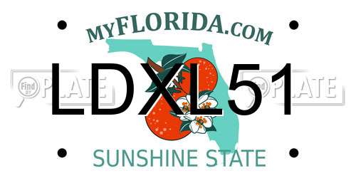 LDXL51 Florida License Plate