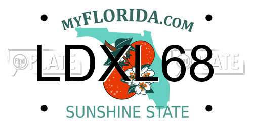 LDXL68 Florida License Plate