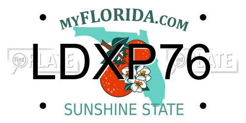 LDXP76 Florida License Plate
