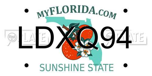 LDXQ94 Florida License Plate