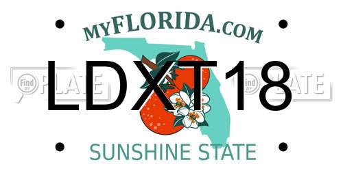 LDXT18 Florida License Plate