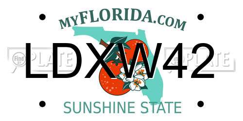LDXW42 Florida License Plate
