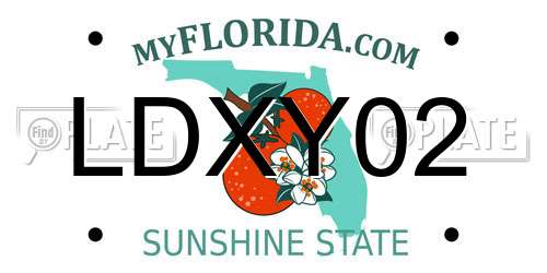 LDXY02 Florida License Plate