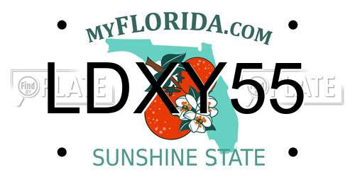 LDXY55 Florida License Plate