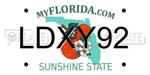 LDXY92 Florida License Plate