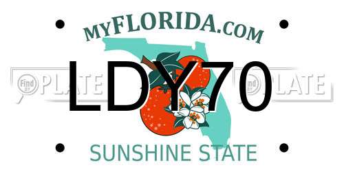 LDY70 Florida License Plate