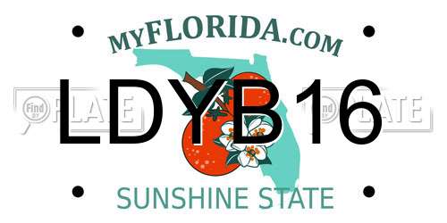 LDYB16 Florida License Plate