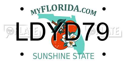 LDYD79 Florida License Plate