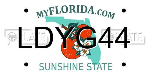 LDYG44 Florida License Plate