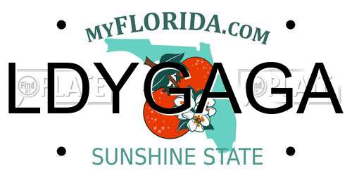 LDYGAGA Florida License Plate