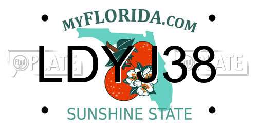 LDYJ38 Florida License Plate