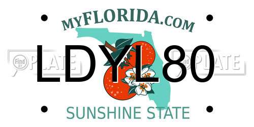 LDYL80 Florida License Plate