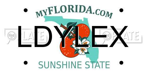 LDYLEX Florida License Plate