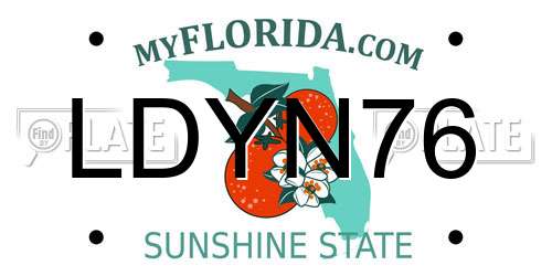 LDYN76 Florida License Plate