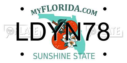 LDYN78 Florida License Plate