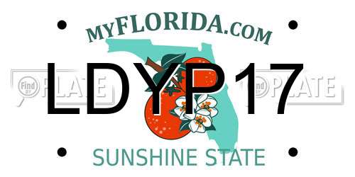 LDYP17 Florida License Plate