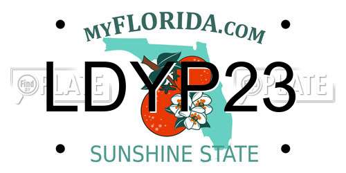 LDYP23 Florida License Plate