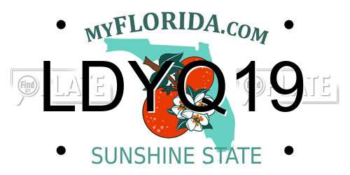 LDYQ19 Florida License Plate