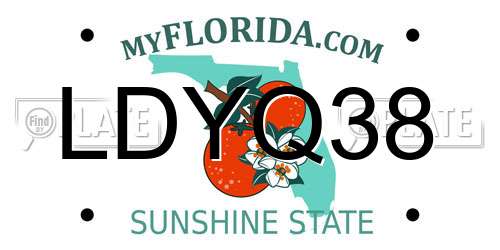 LDYQ38 Florida License Plate