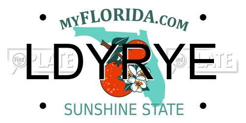 LDYRYE Florida License Plate
