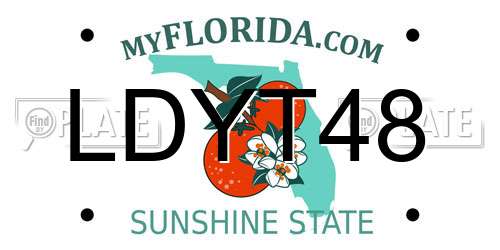 LDYT48 Florida License Plate