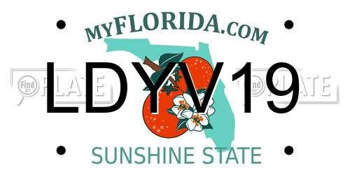 LDYV19 Florida License Plate