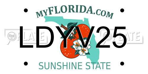LDYV25 Florida License Plate