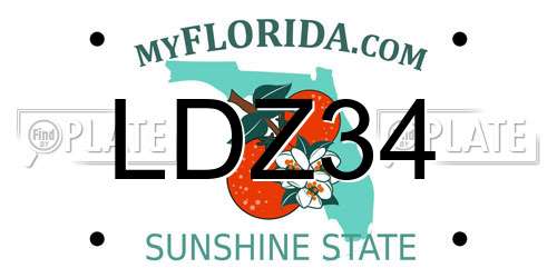 LDZ34 Florida License Plate