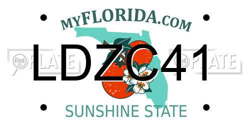 LDZC41 Florida License Plate