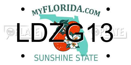 LDZG13 Florida License Plate