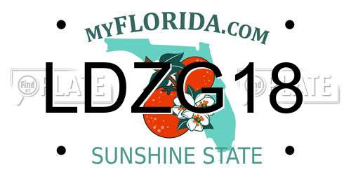 LDZG18 Florida License Plate