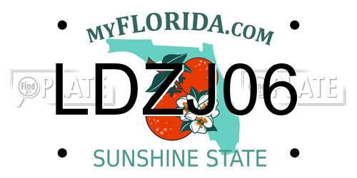 LDZJ06 Florida License Plate