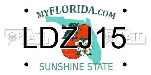 LDZJ15 Florida License Plate