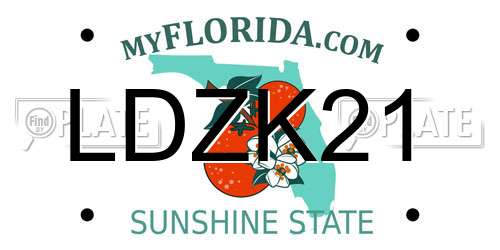 LDZK21 Florida License Plate