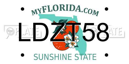 LDZT58 Florida License Plate