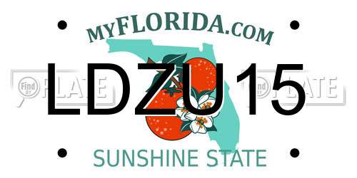 LDZU15 Florida License Plate