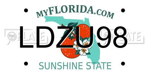 LDZU98 Florida License Plate