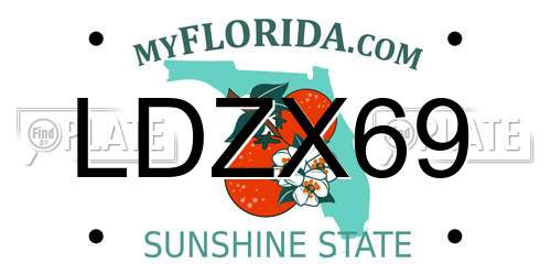 LDZX69 Florida License Plate
