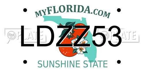 LDZZ53 Florida License Plate