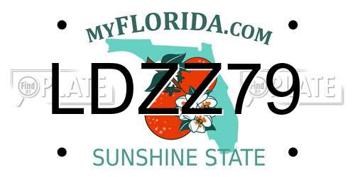 LDZZ79 Florida License Plate