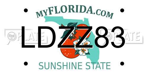 LDZZ83 Florida License Plate