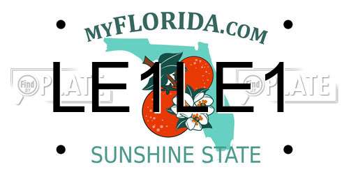LE1LE1 Florida License Plate