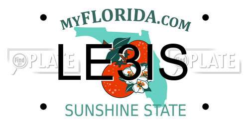 LE3IS Florida License Plate